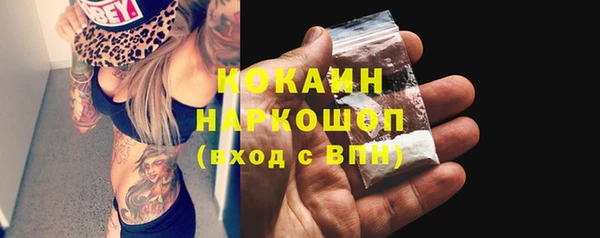 твердый Балахна