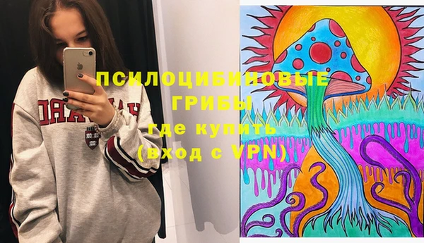 твердый Балахна