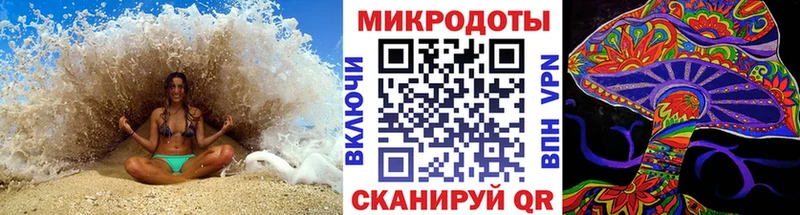 купить наркоту  Краснокаменск  Галлюциногенные грибы Psilocybe 